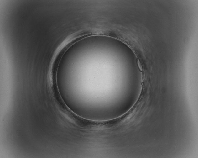 X0000112930246200908311323