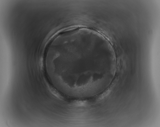 X0000112930247200908311323