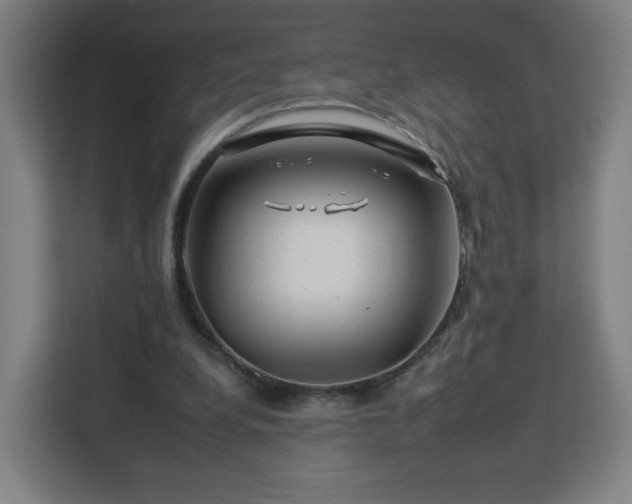 X0000112930248200908311323