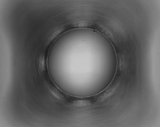 X0000112930251200908311323