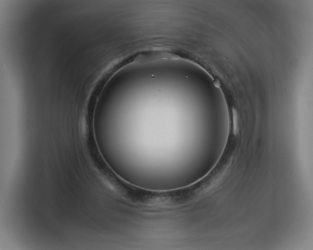 X0000112930252200908311323