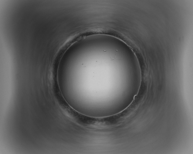 X0000112930256200908311323