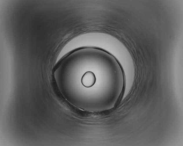 X0000112930260200908311323