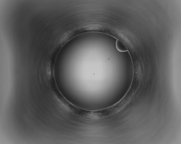 X0000112930261200908311323