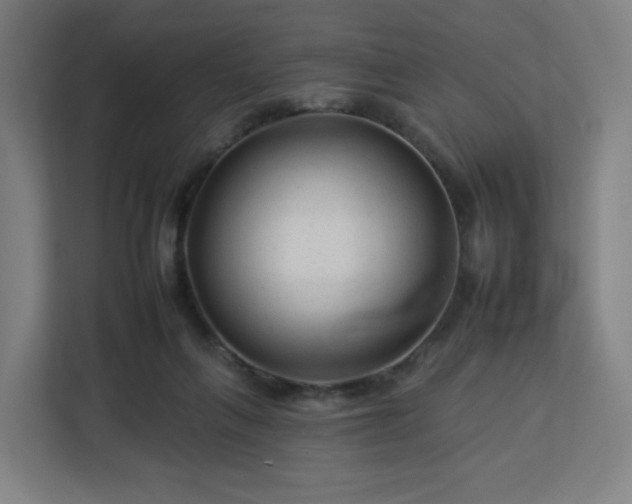 X0000112930263200908311323