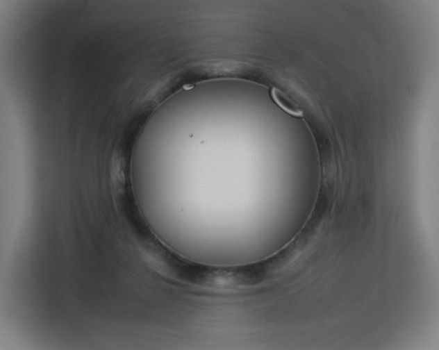 X0000112930264200908311323