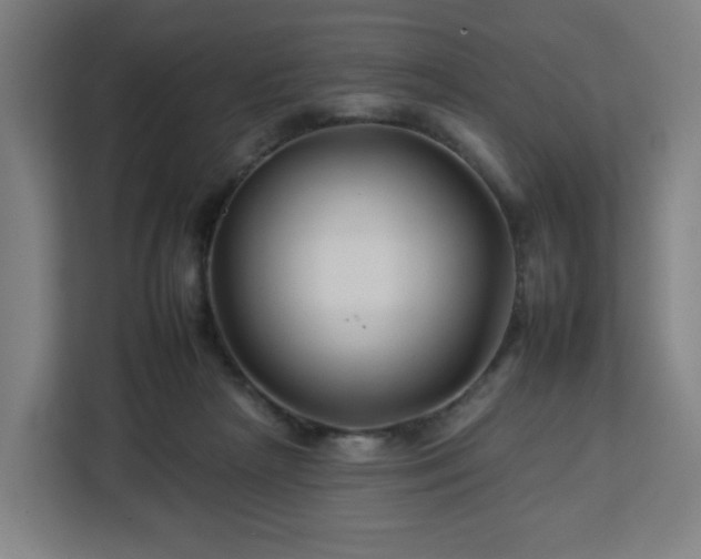 X0000112930265200908311323