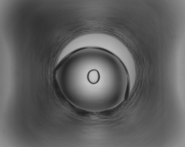 X0000112930268200908311323