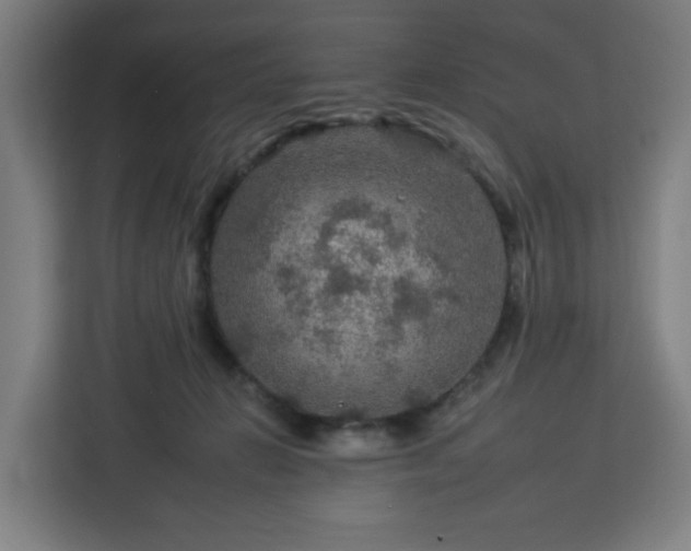 X0000112930270200908311323