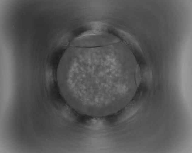 X0000112930272200908311323