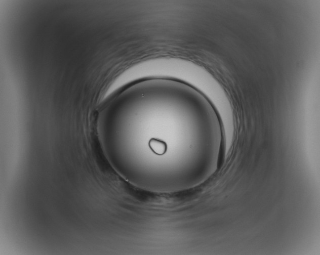 X0000112930276200908311323