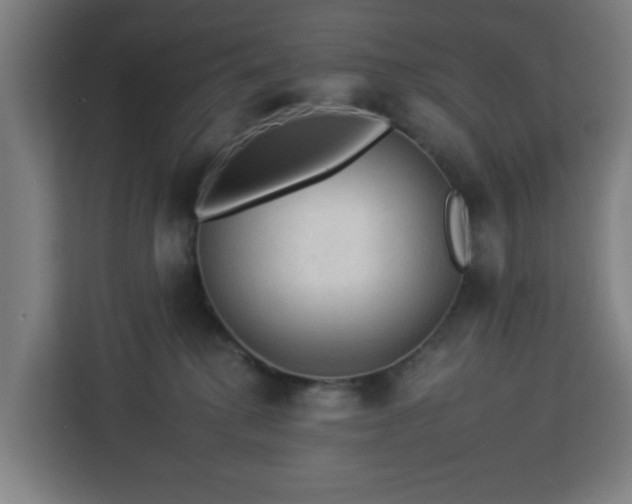 X0000112930280200908311323