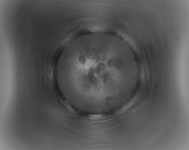 X0000112930281200908311323