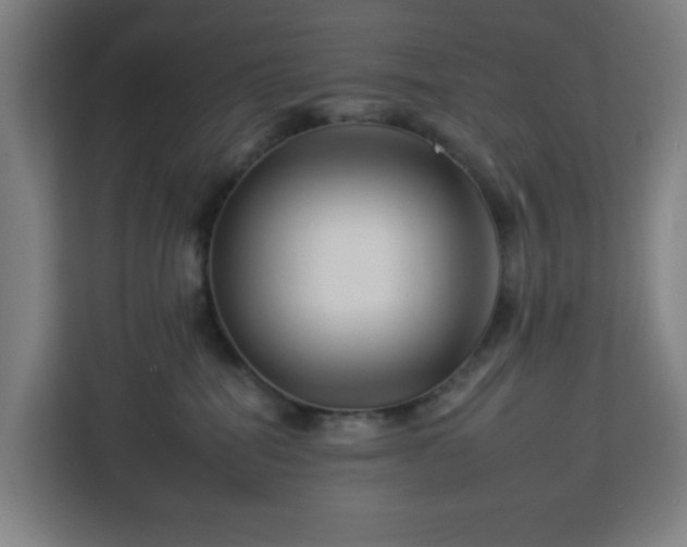 X0000112930282200908311323