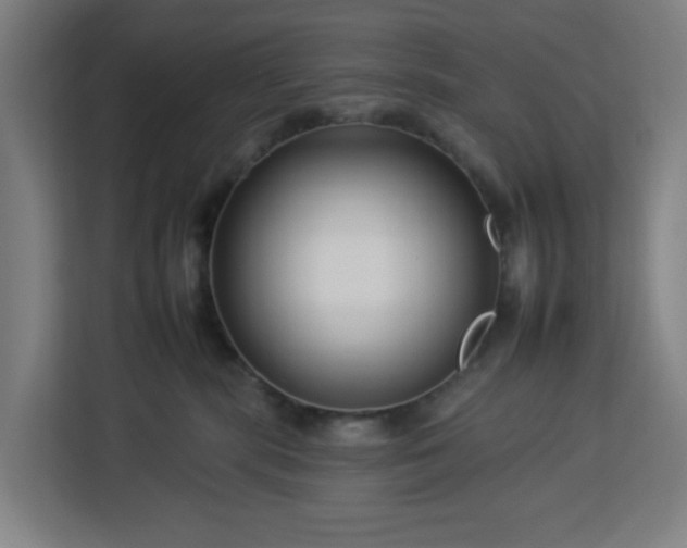 X0000112930283200908311324