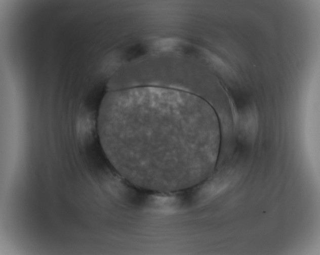 X0000112930284200908311324