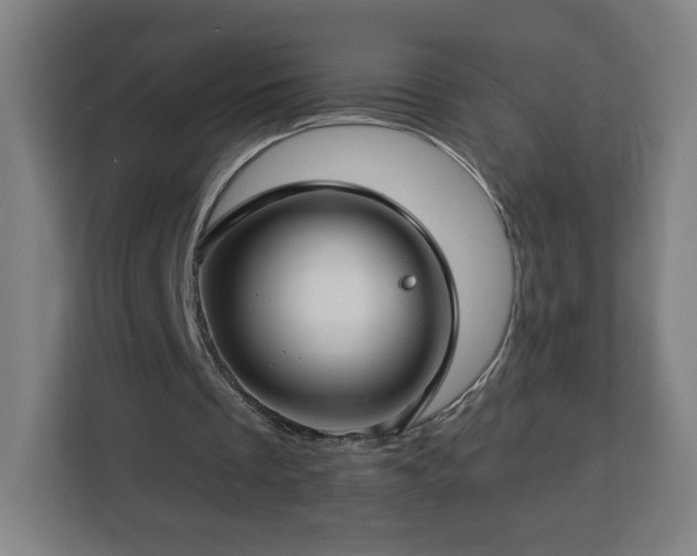 X0000112930289200908311323