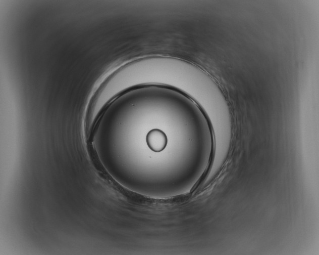 X0000112930292200908311323