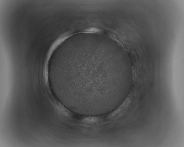 X0000112930294200908311323