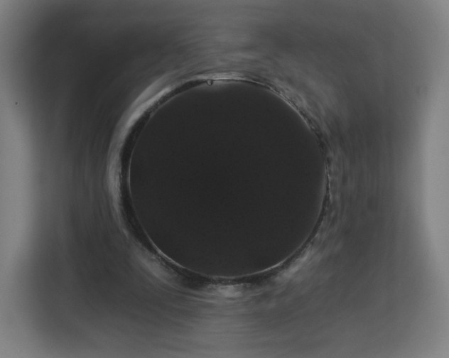 X0000112930295200908311323