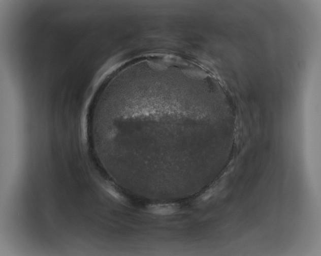 X0000112930296200908311323