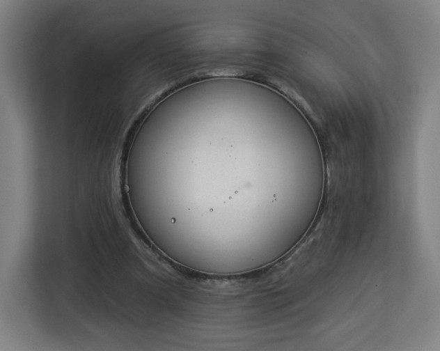 X0000112930297200908311323