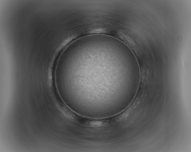 X0000112930298200908311323