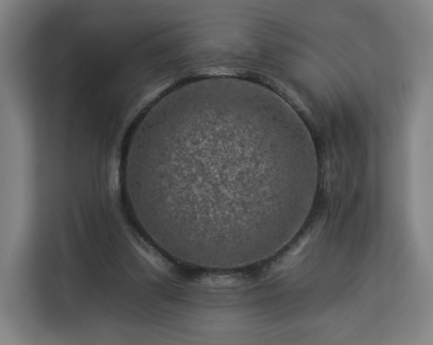 X0000112930299200908311323