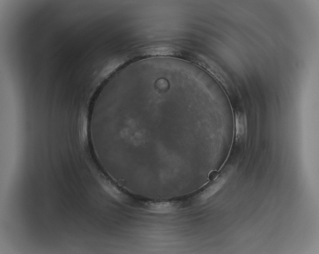 X0000112930301200908311323