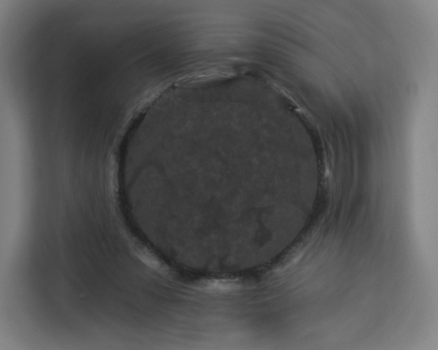 X0000112930303200908311323