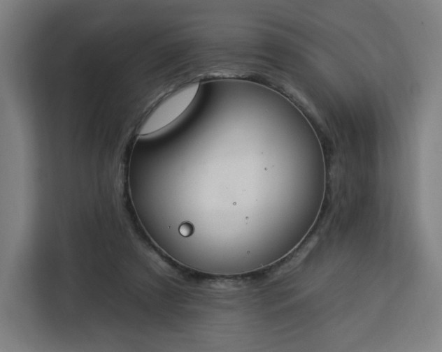 X0000112930305200908311323