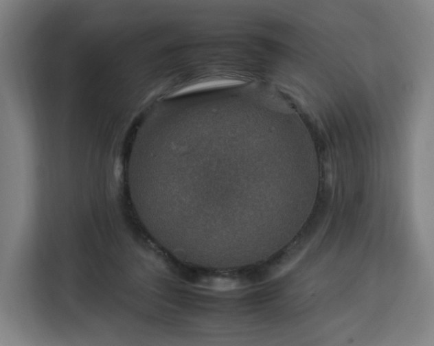 X0000112930308200908311323