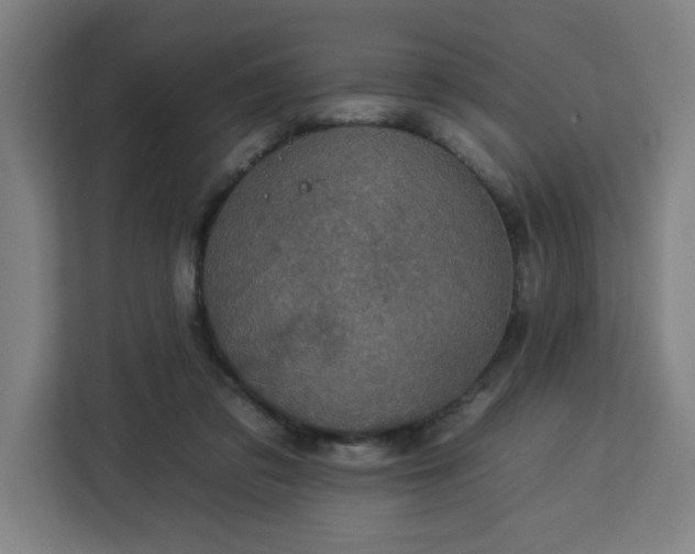 X0000112930309200908311323