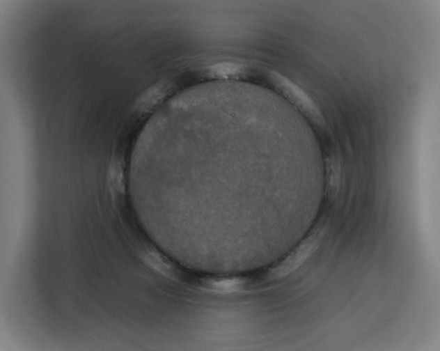 X0000112930313200908311323