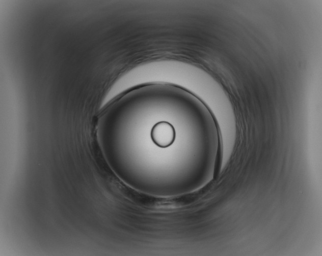 X0000112930316200908311323