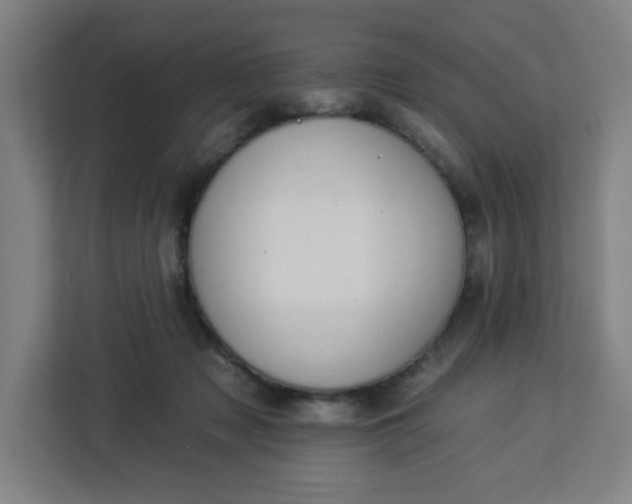 X0000112930317200908311323