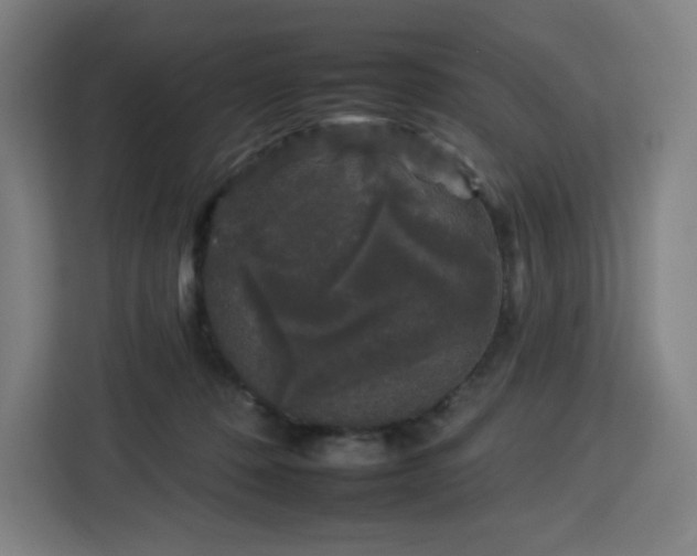 X0000112930320200908311323