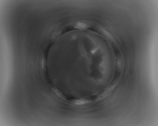 X0000112930322200908311323