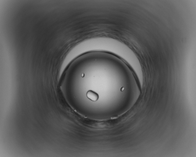 X0000112930324200908311322