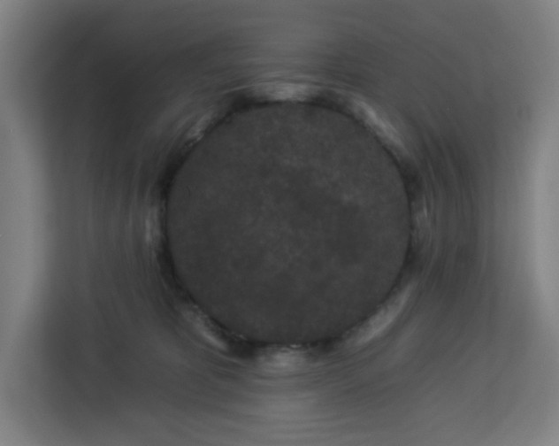 X0000112930325200908311322