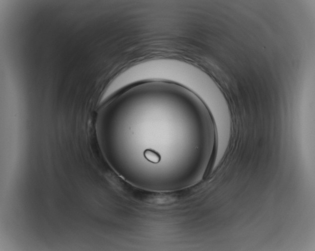 X0000112930327200908311322