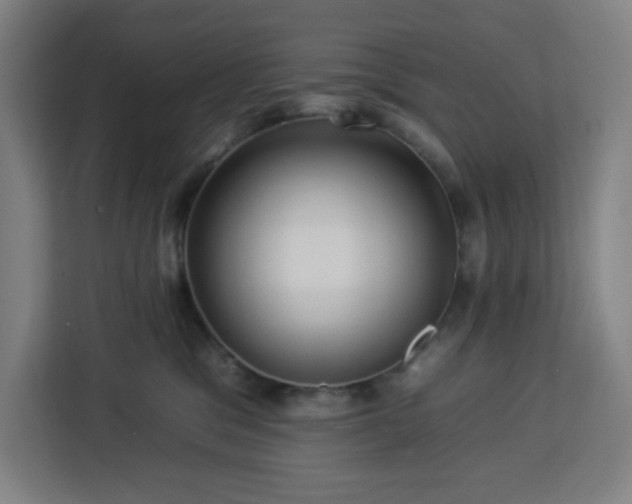 X0000112930329200908311322