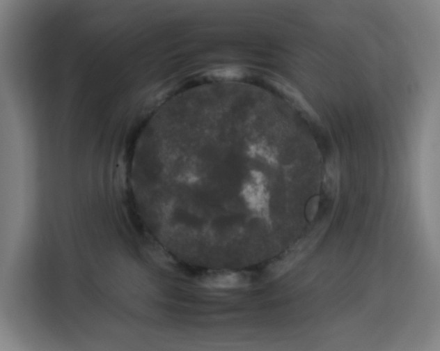 X0000112930330200908311322