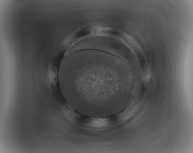 X0000112930332200908311322