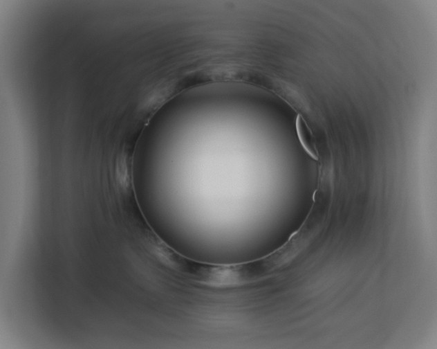 X0000112930335200908311322