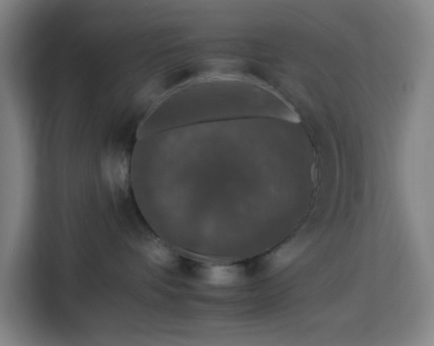 X0000112930336200908311322