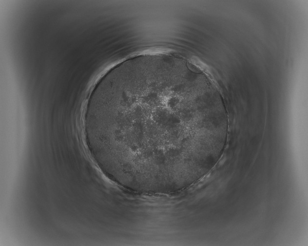 X0000112930337200908311322