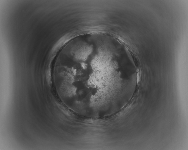 X0000112930339200908311322