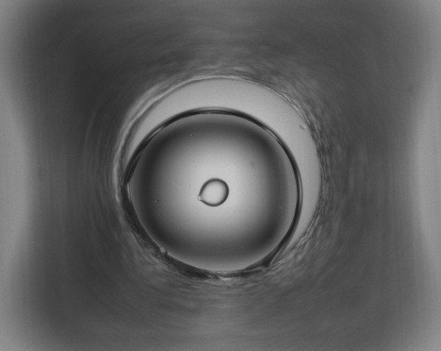 X0000112930340200908311322