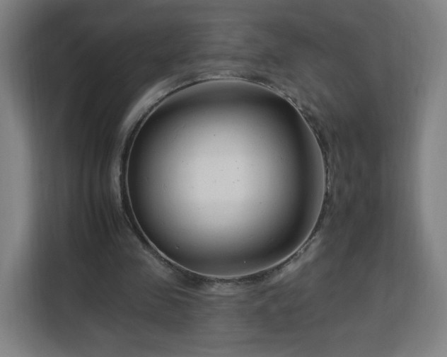 X0000112930341200908311322